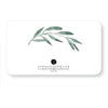 Note Card Set | Little Notes | Olive Branch | E. Frances Paper - Kami Paper