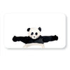 Note Card Set | Little Notes | Panda | E. Frances Paper