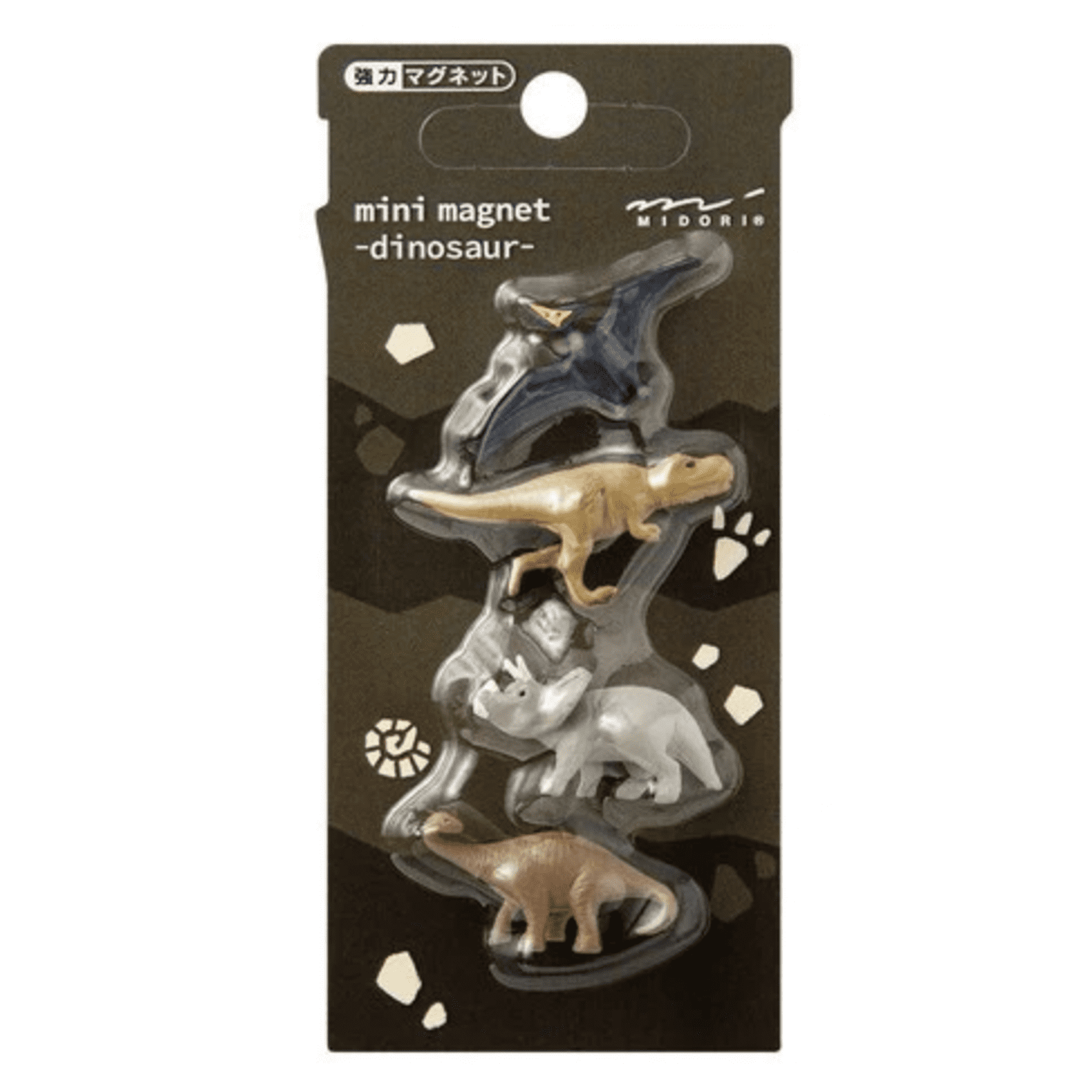 Magnet Set | Set Of 4 |Dinosaurs | Midori