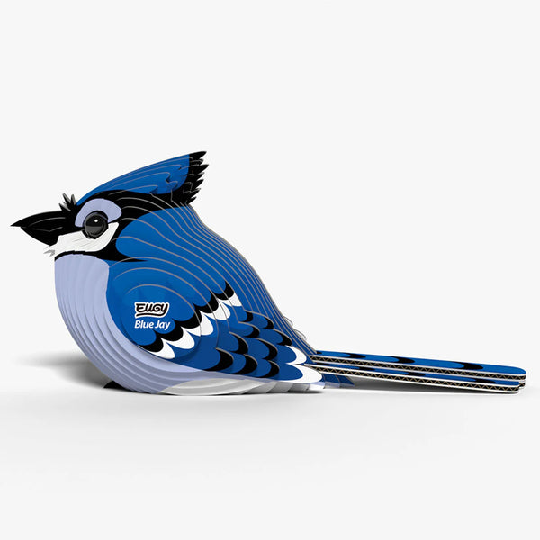3D Cardboard Model Kit | Blue Jay | Eugy