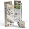 3D Cardboard Model Kit | Sheep | Eugy
