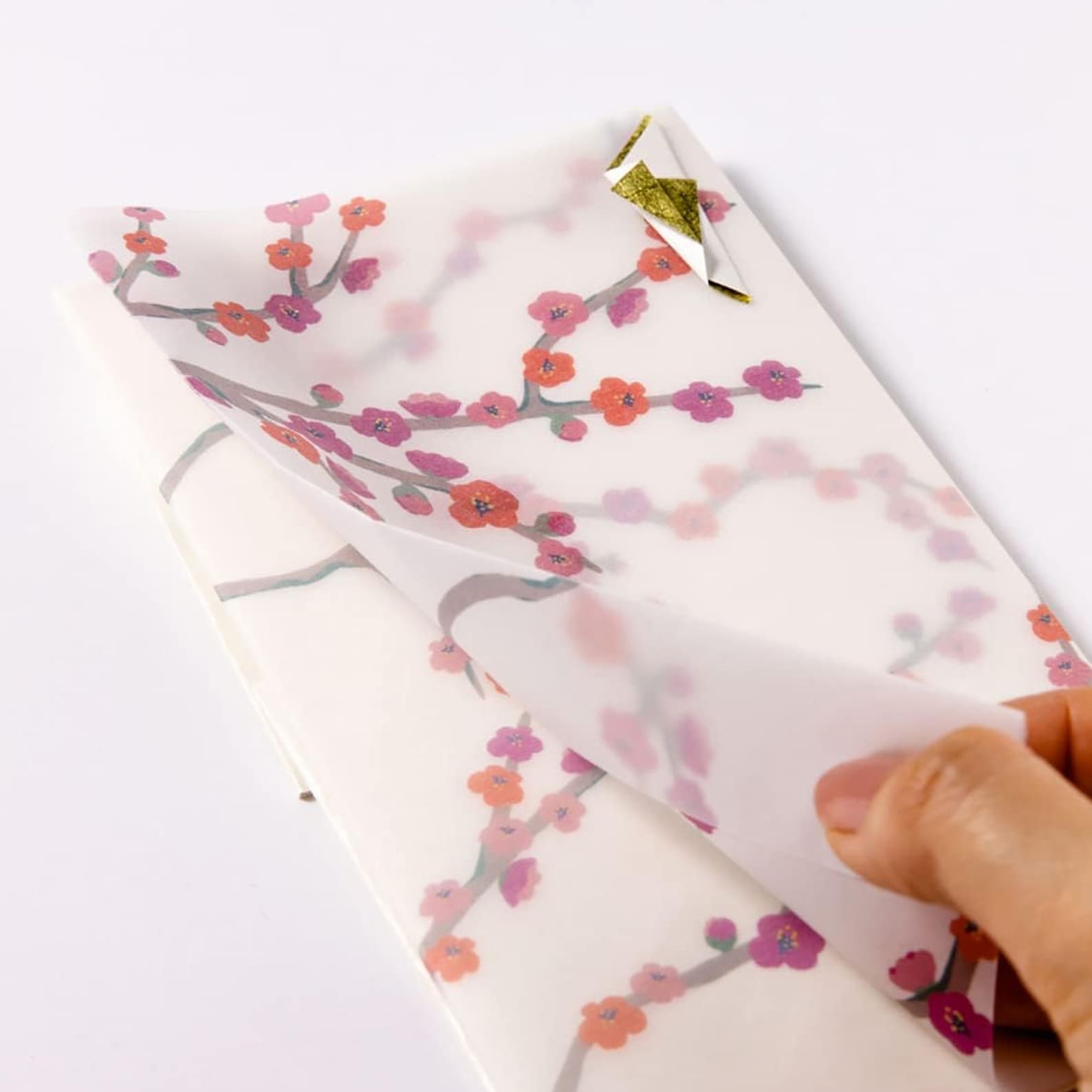 Gift Money Envelope | Hanahiyori | Camellia | Iroha
