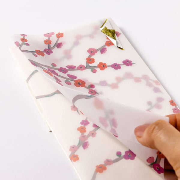 Gift Money Envelope | Hanahiyori | Camellia | Iroha