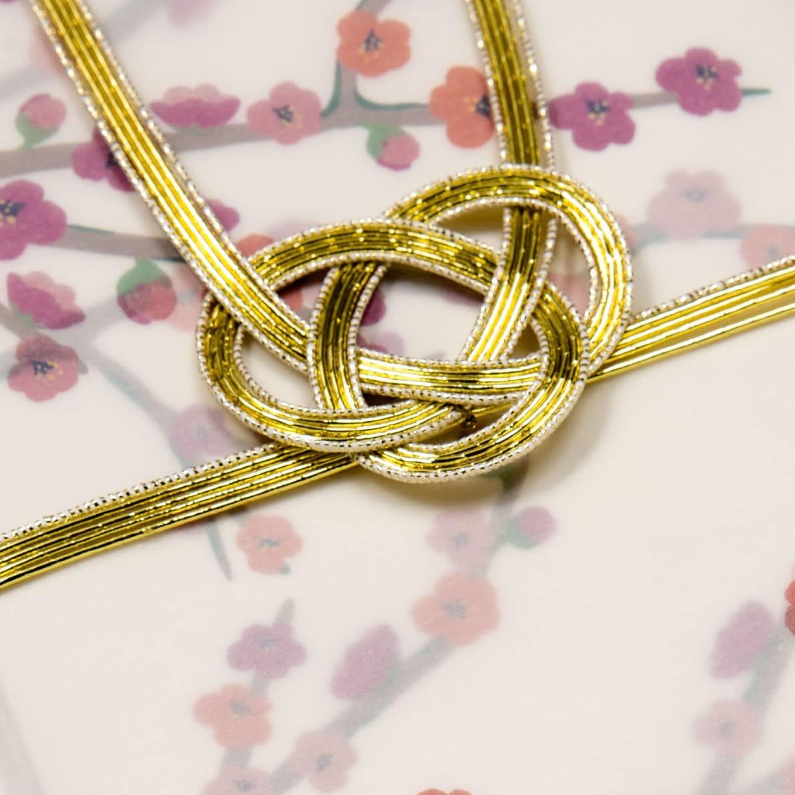 Gift Money Envelope | Hanahiyori | Camellia | Iroha