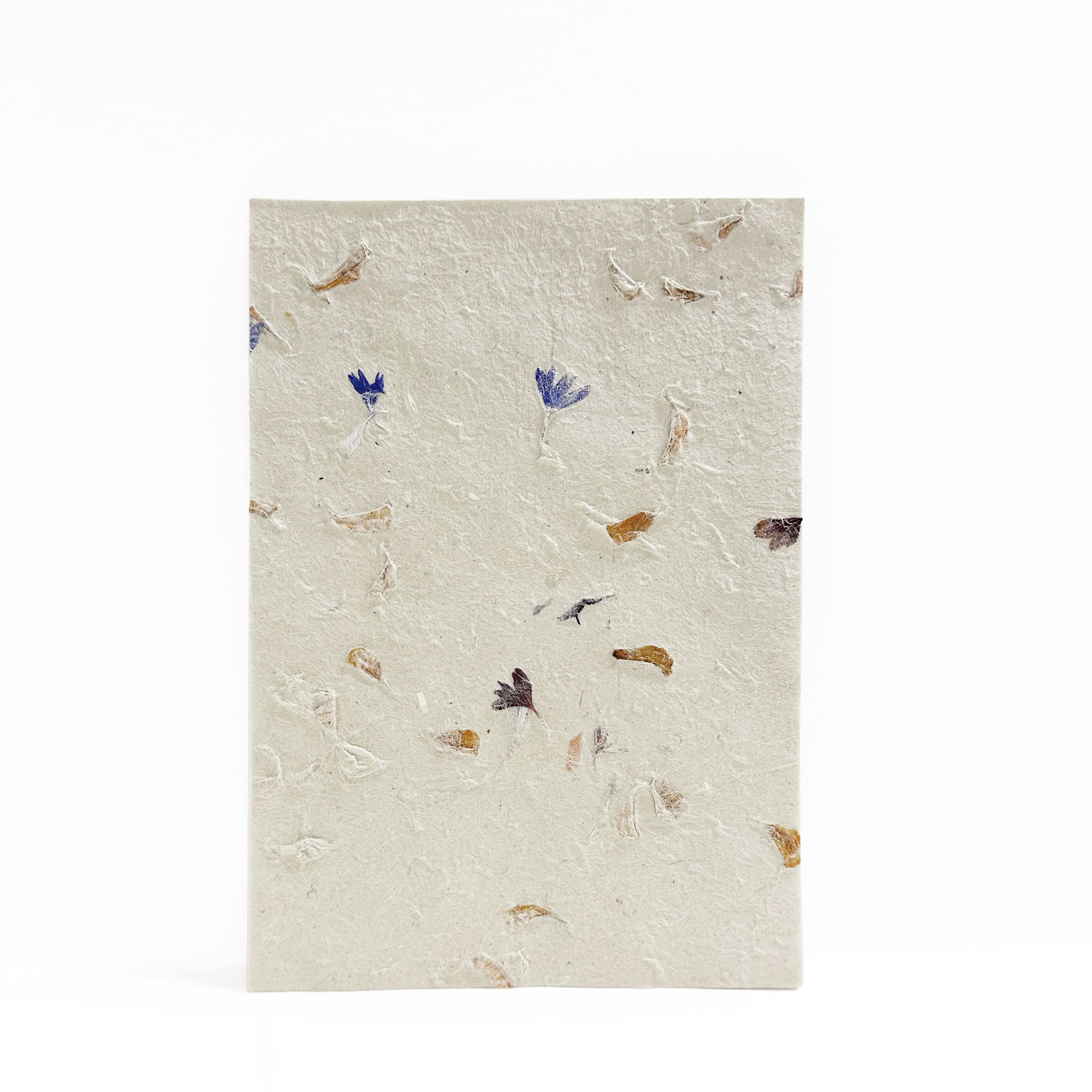 Handmade Letter Writing Set | Nepalese Lokta Pressed Petals | Marigold | 2 SIZE OPTIONS AVAILABLE