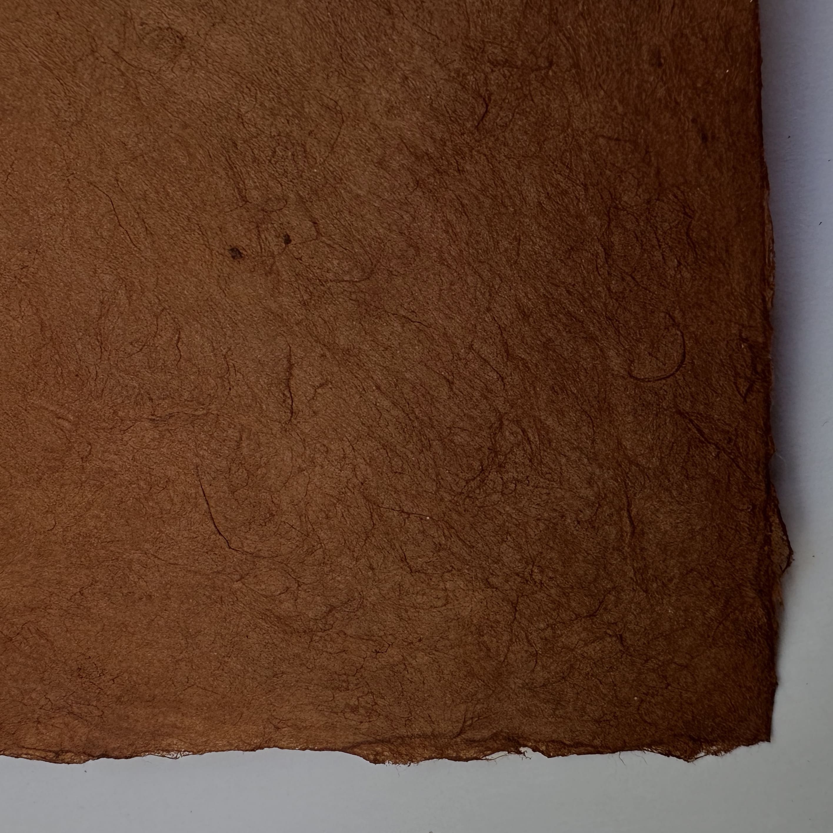 Nepalese Paper | Lokta | Classic | 57 COLOURS