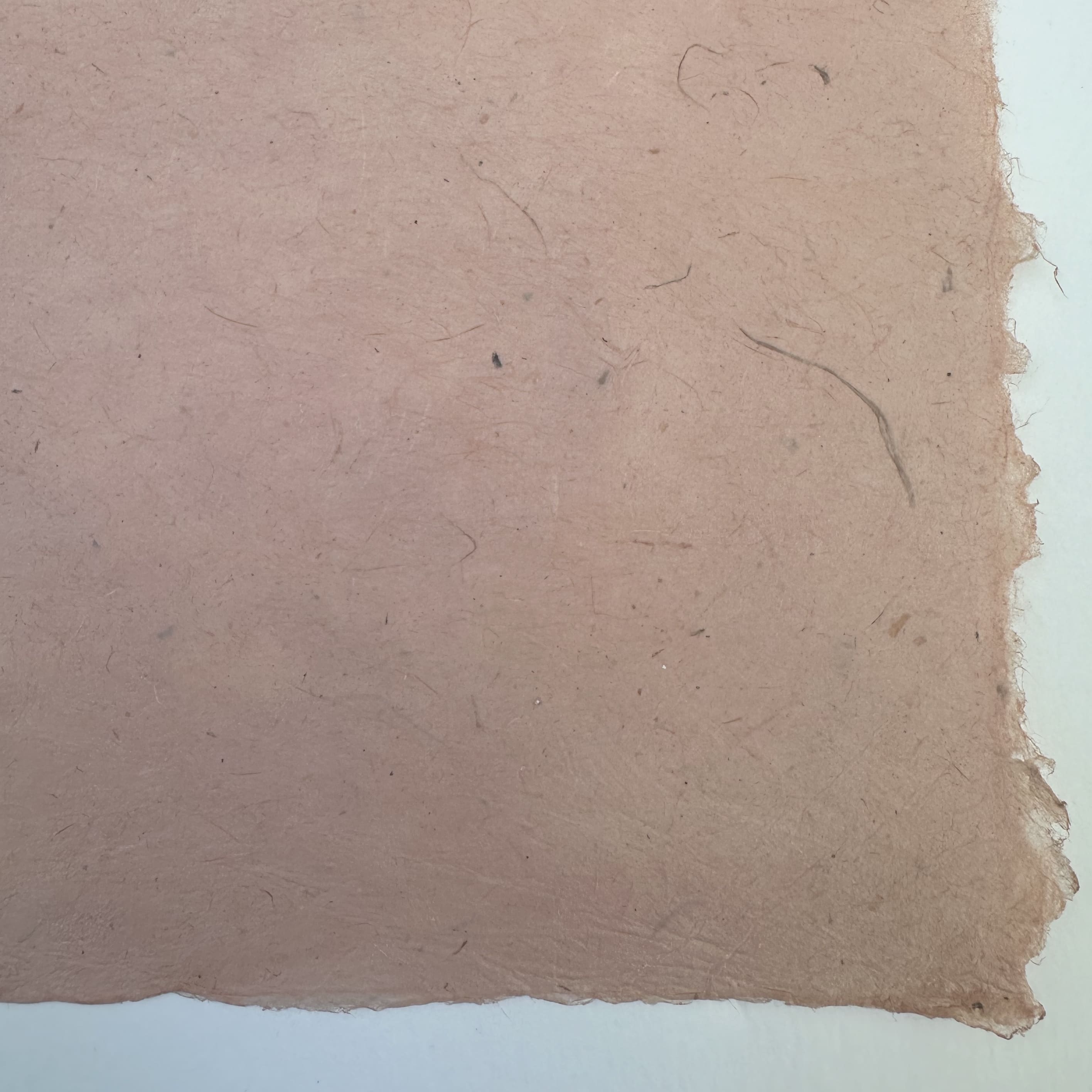 Nepalese Paper | Lokta | Classic | 57 COLOURS