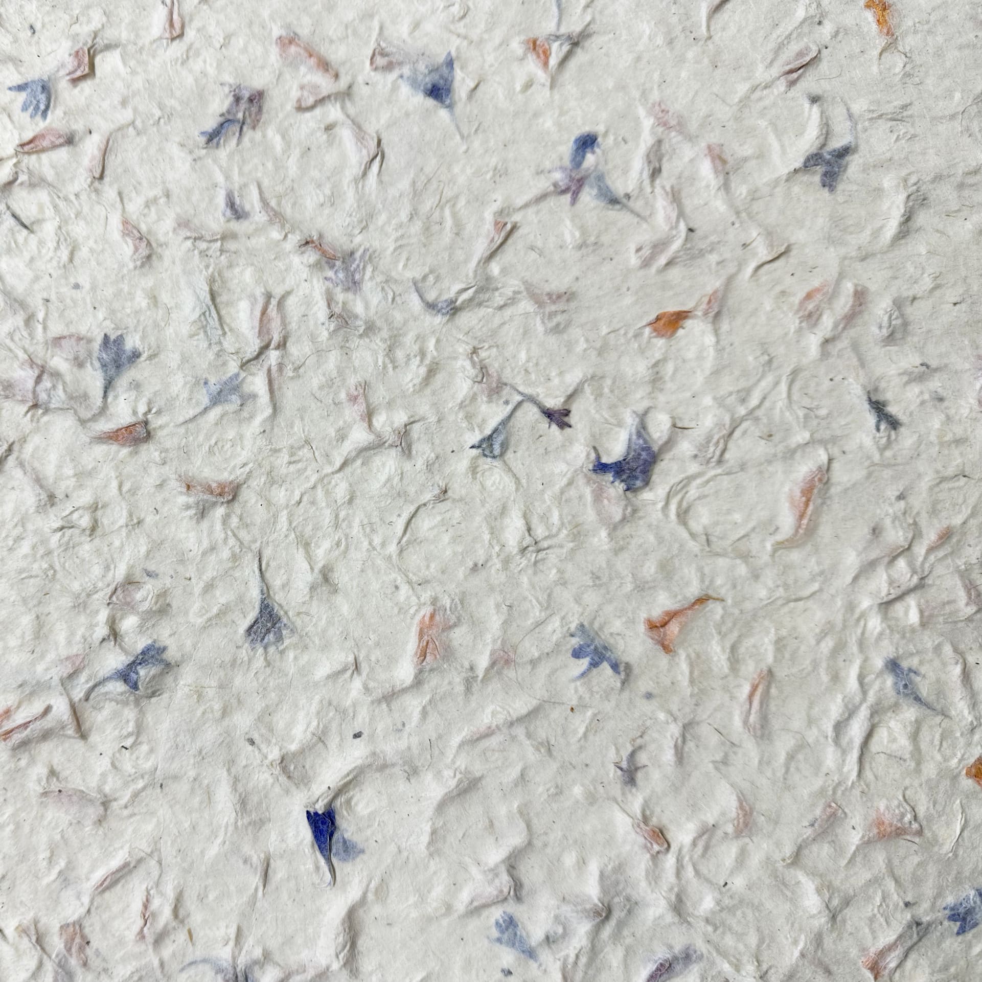 Natural Inclusions | Nepalese Paper | Kami - Fitzroy