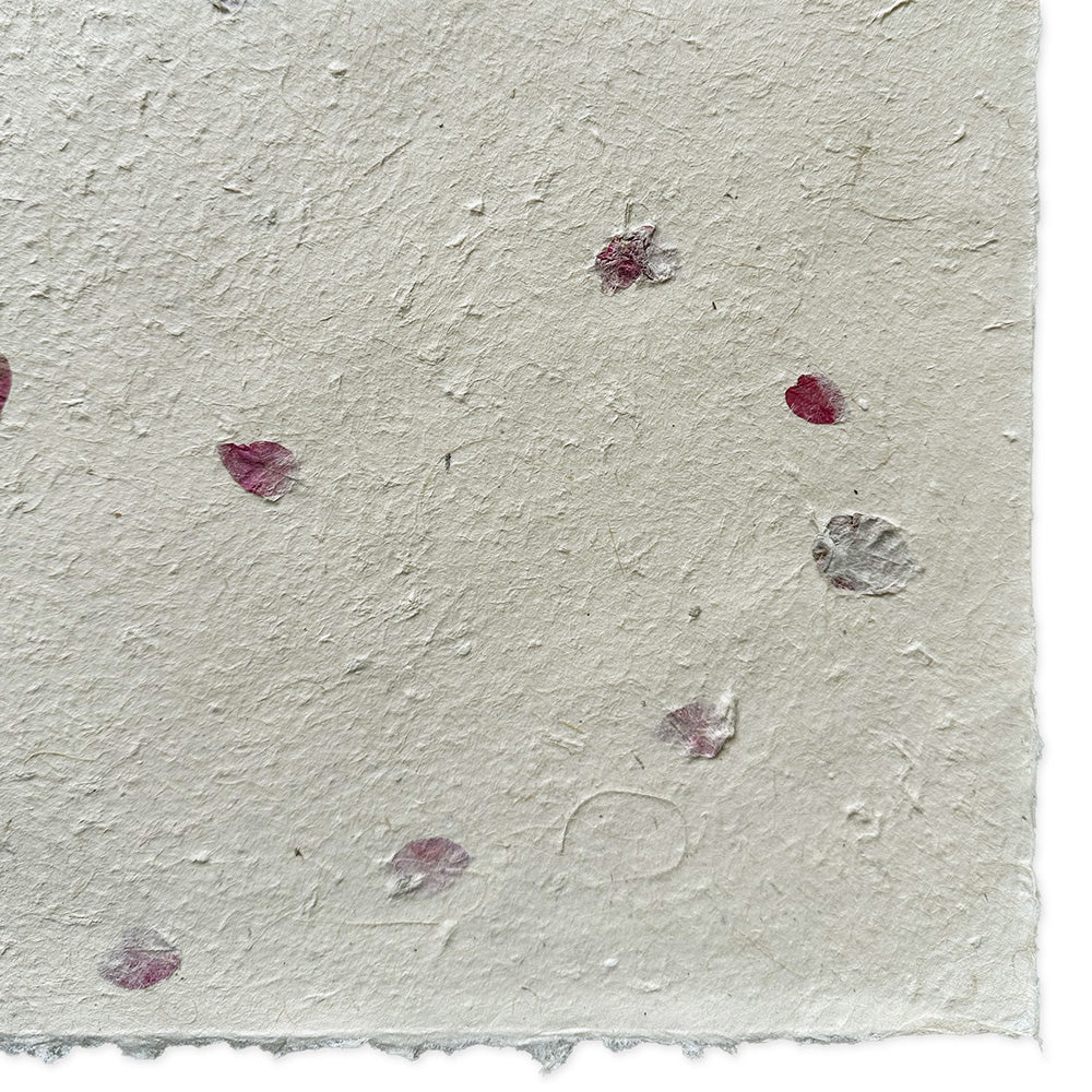Nepalese Paper | Lokta | Pressed Petals & Leaves | 3 DESIGN OPTIONS AVAILABLE - Kami Paper