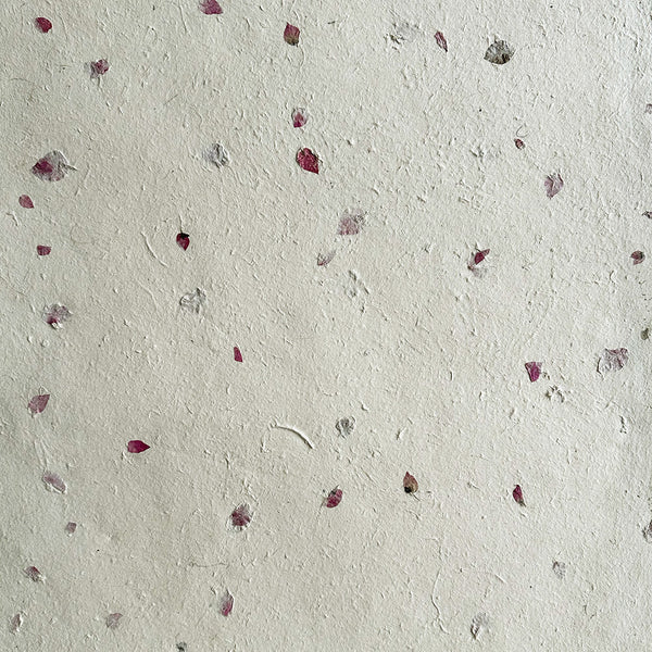 Nepalese Paper | Lokta | Pressed Petals & Leaves | 3 DESIGN OPTIONS AVAILABLE - Kami Paper