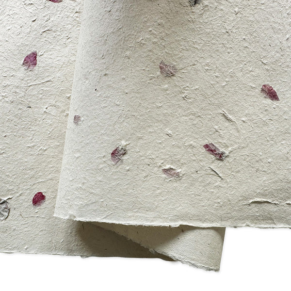 Nepalese Paper | Lokta | Pressed Petals & Leaves | 3 DESIGN OPTIONS AVAILABLE - Kami Paper
