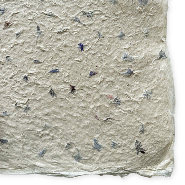Nepalese Paper | Lokta | Pressed Petals & Leaves | Thick | 3 DESIGN OPTIONS AVAILABLE - Kami Paper