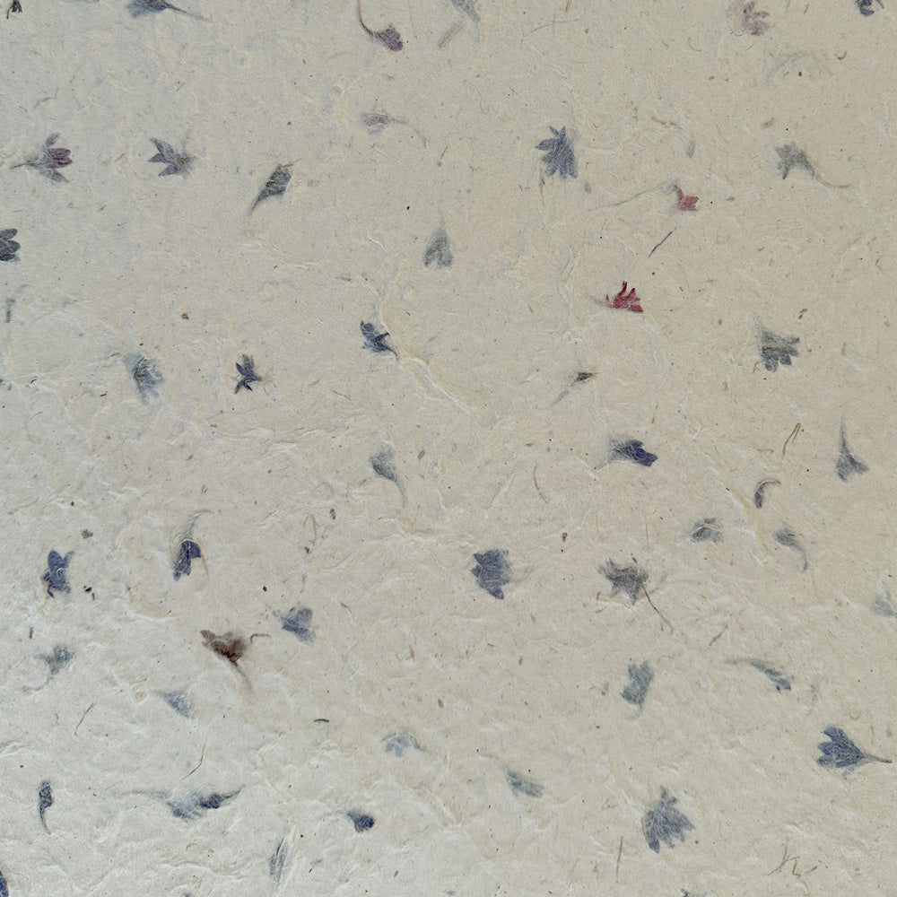 Nepalese Paper | Lokta | Pressed Petals & Leaves | Thick | 3 DESIGN OPTIONS AVAILABLE - Kami Paper