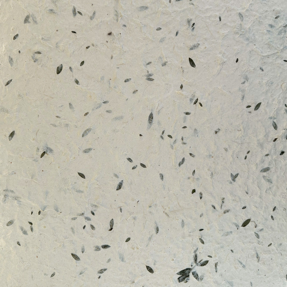 Nepalese Paper | Lokta | Pressed Petals & Leaves | Thick | 3 DESIGN OPTIONS AVAILABLE - Kami Paper