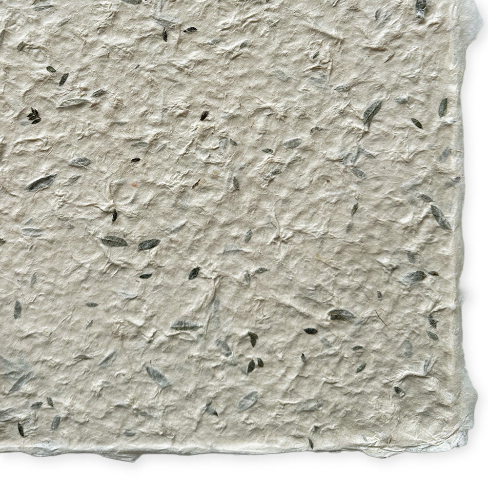 Nepalese Paper | Lokta | Pressed Petals & Leaves | Thick | 3 DESIGN OPTIONS AVAILABLE - Kami Paper