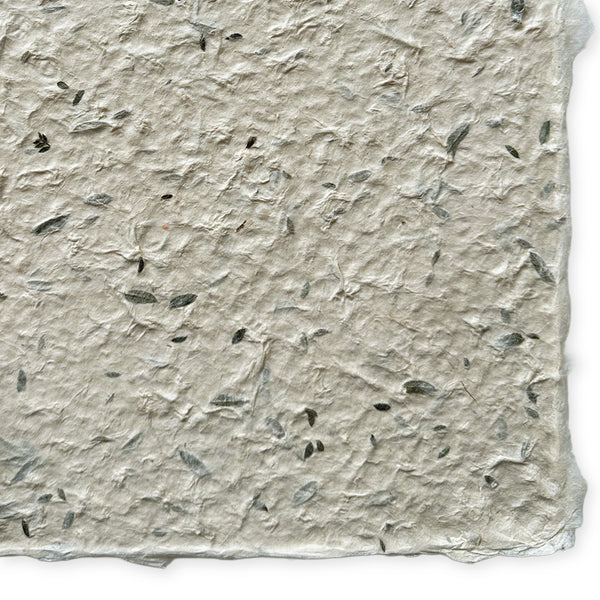 Nepalese Paper | Lokta | Pressed Petals & Leaves | Thick | 3 DESIGN OPTIONS AVAILABLE - Kami Paper