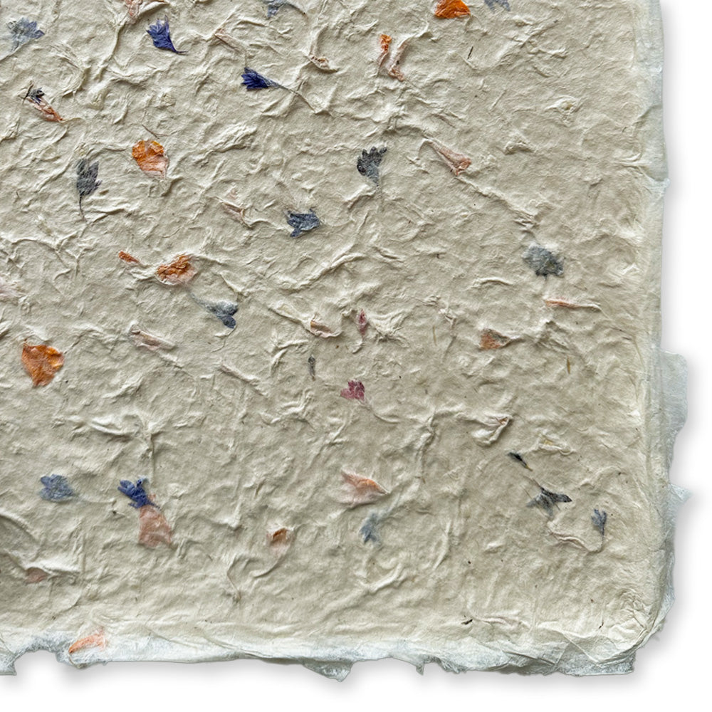 Nepalese Paper | Lokta | Pressed Petals & Leaves | Thick | 3 DESIGN OPTIONS AVAILABLE - Kami Paper
