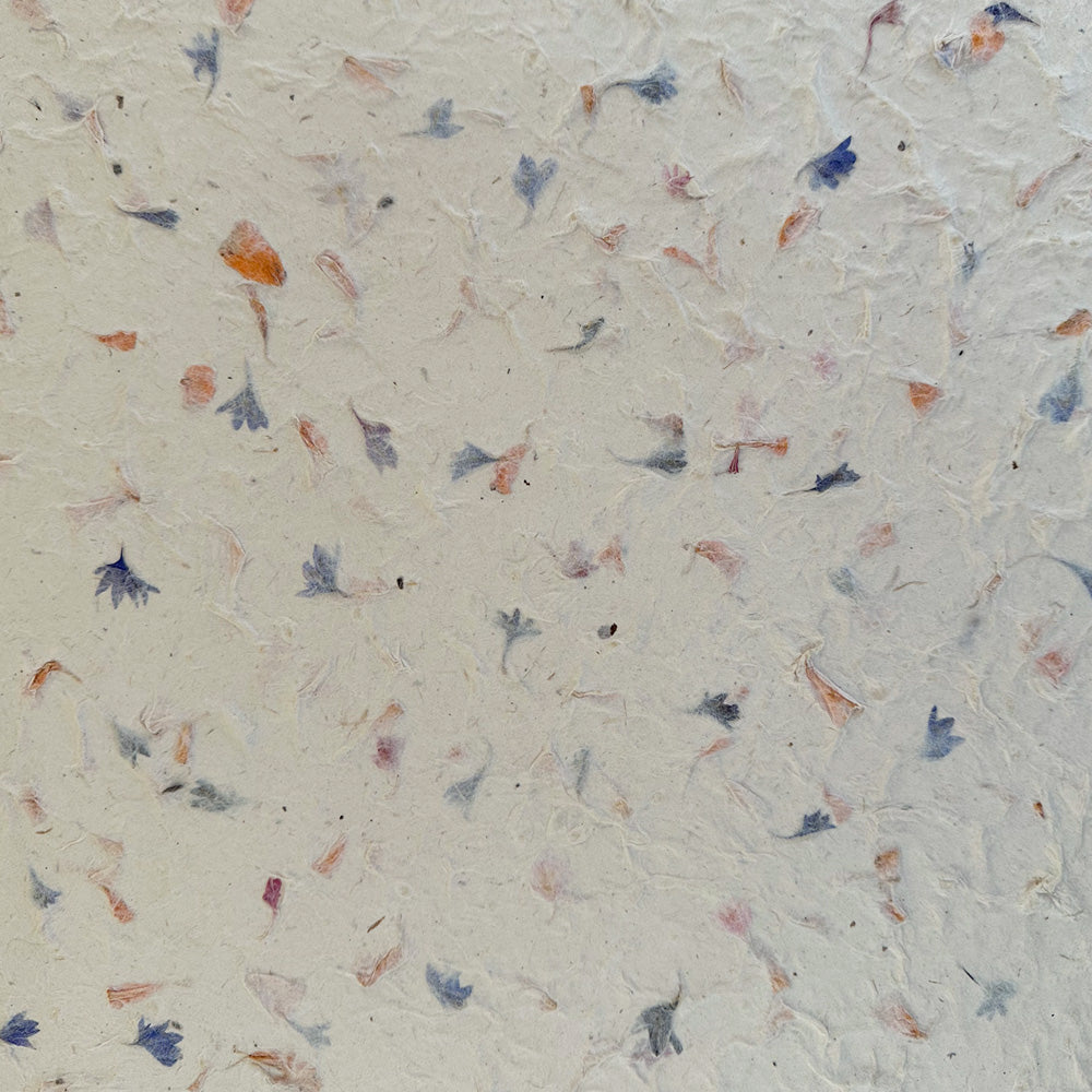 Nepalese Paper | Lokta | Pressed Petals & Leaves | Thick | 3 DESIGN OPTIONS AVAILABLE - Kami Paper