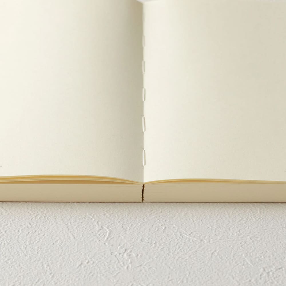 Notebook | Codex | A5 | Unlined |  MD Paper | Midori