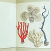 Notebook | Illustrated | A5 | At The Sea | Alibabette Editions