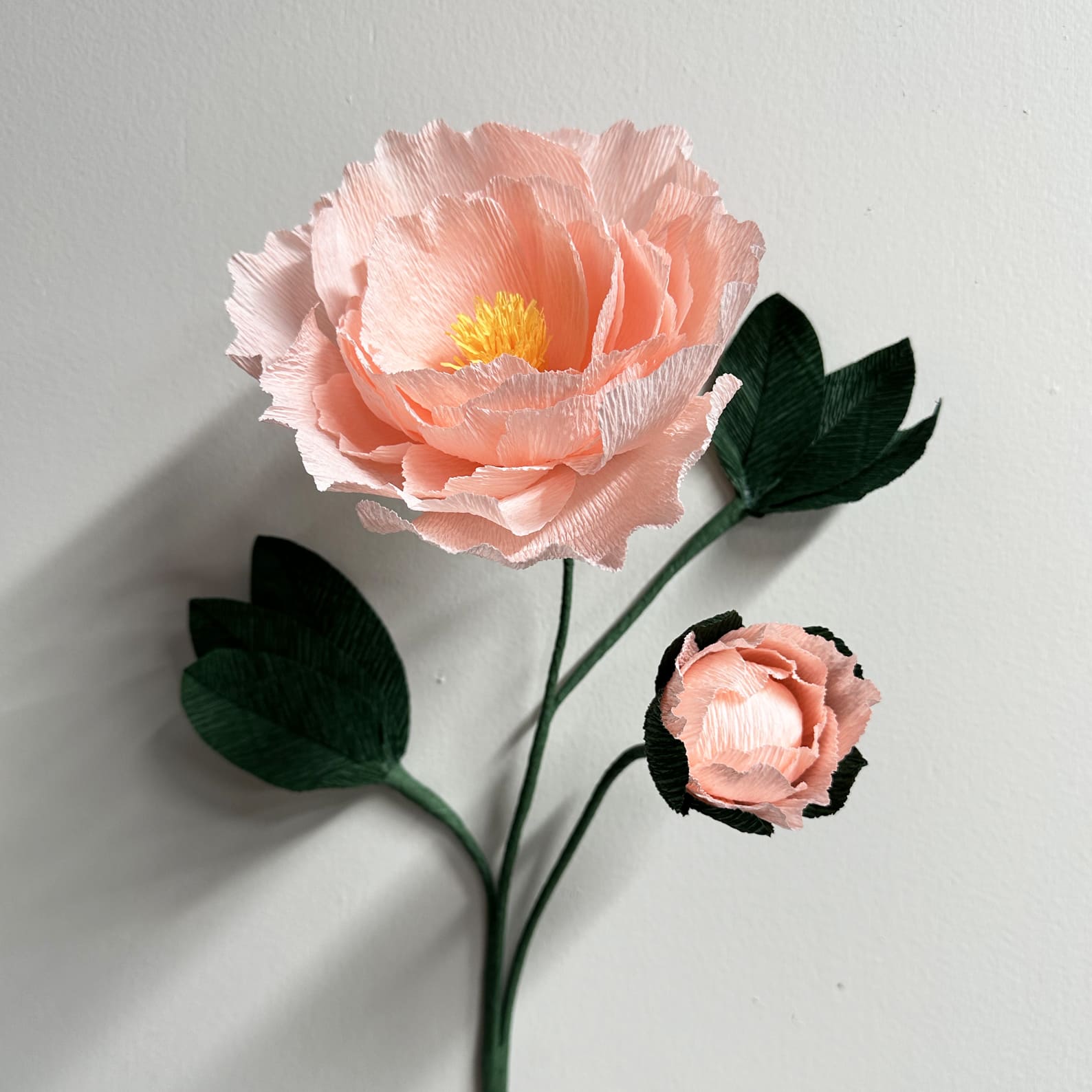Art & Craft Kit | Crepe Paper Flower Kit | Peony | Kami
