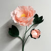 Art & Craft Kit | Crepe Paper Flower Kit | Peony | Kami