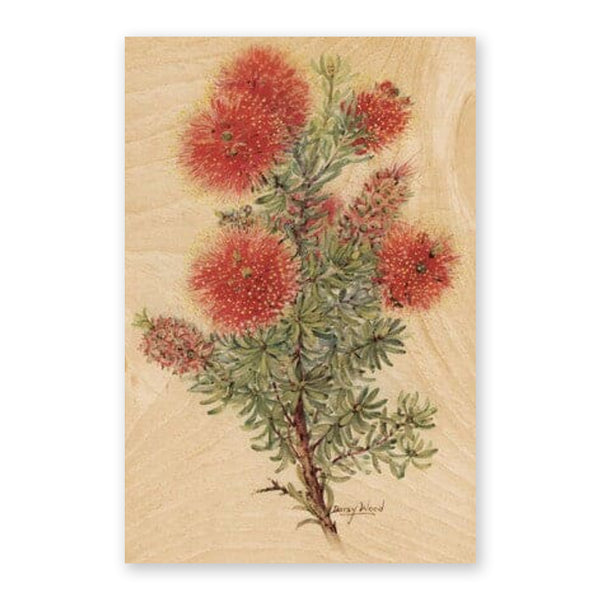 Australiana Postcard | Crimson Kuzea | Woodhi - Kami Paper