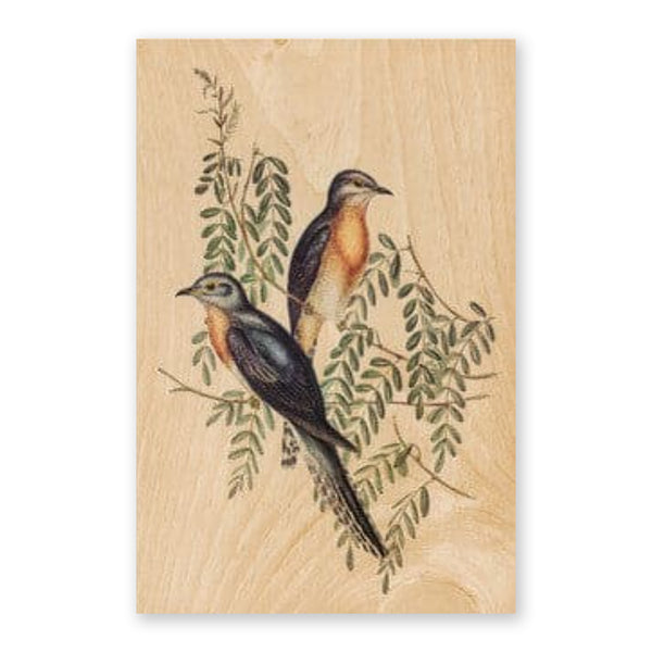 Australiana Postcard | Swallow | Woodhi - Kami Paper