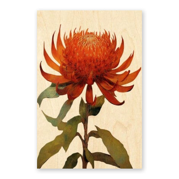 Australiana Postcard | Waratah | Woodhi - Kami Paper