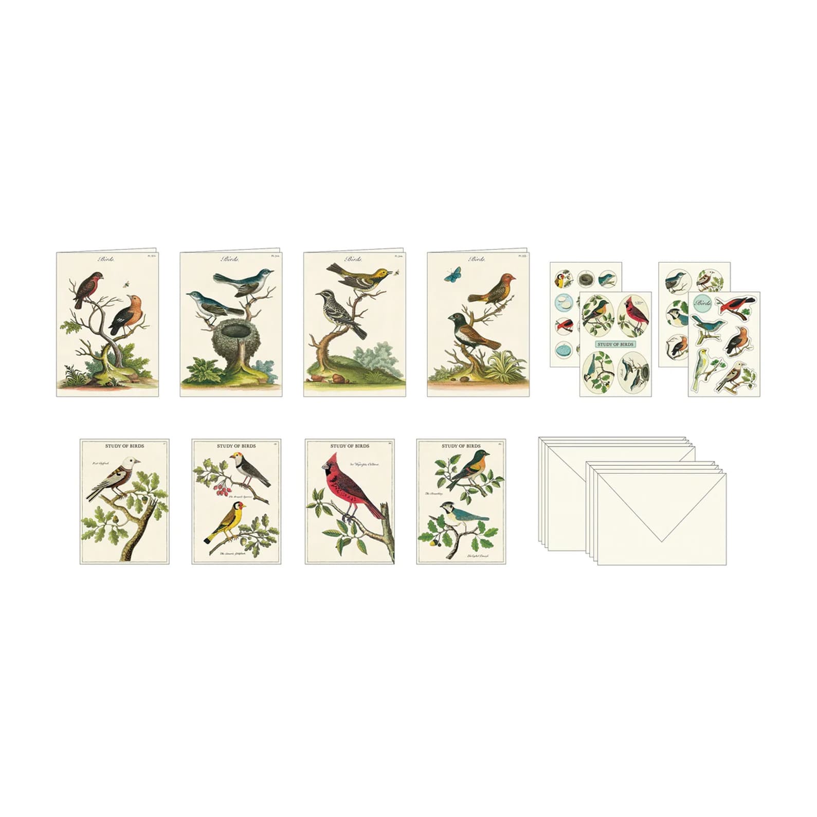 All Occasion Card | Boxed Stationery Set | Birds | Cavallini & Co.