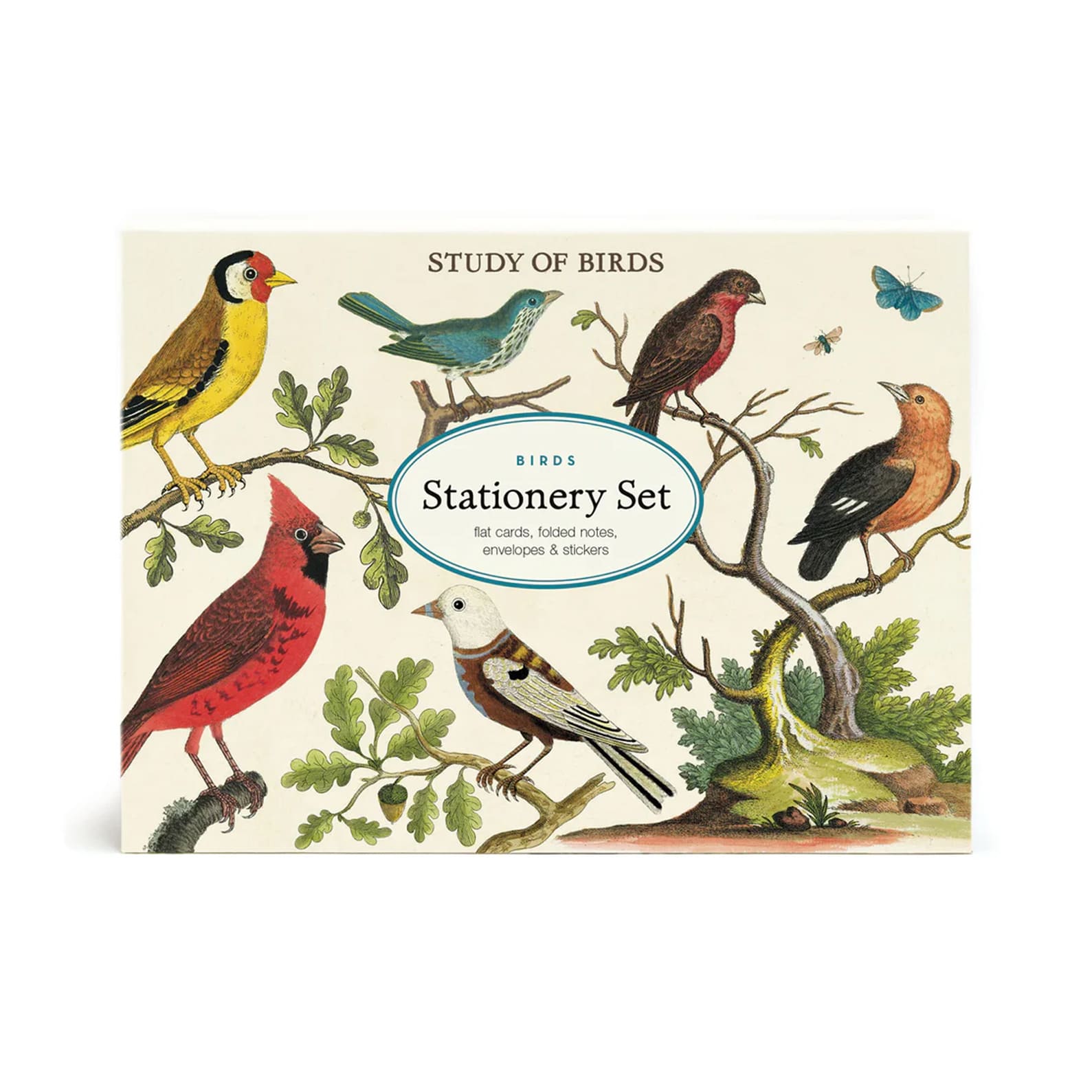 All Occasion Card | Boxed Stationery Set | Birds | Cavallini & Co.