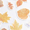 Sticker | Japanese Style | Autumn Leaf | NB Co.