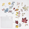 Sticker | Autumn Leaves | Ichikudo
