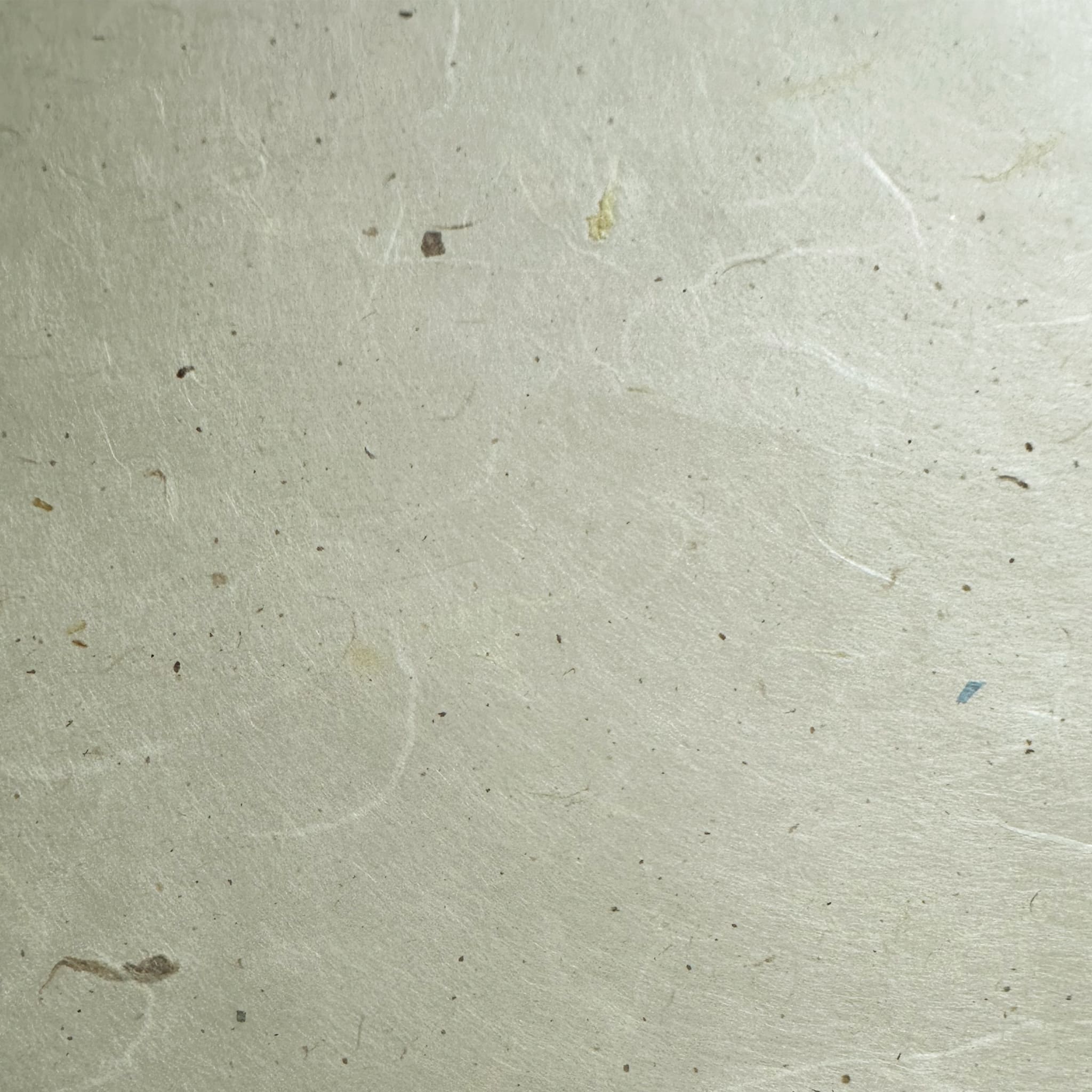 Thai Paper | Long Fibre | Natural