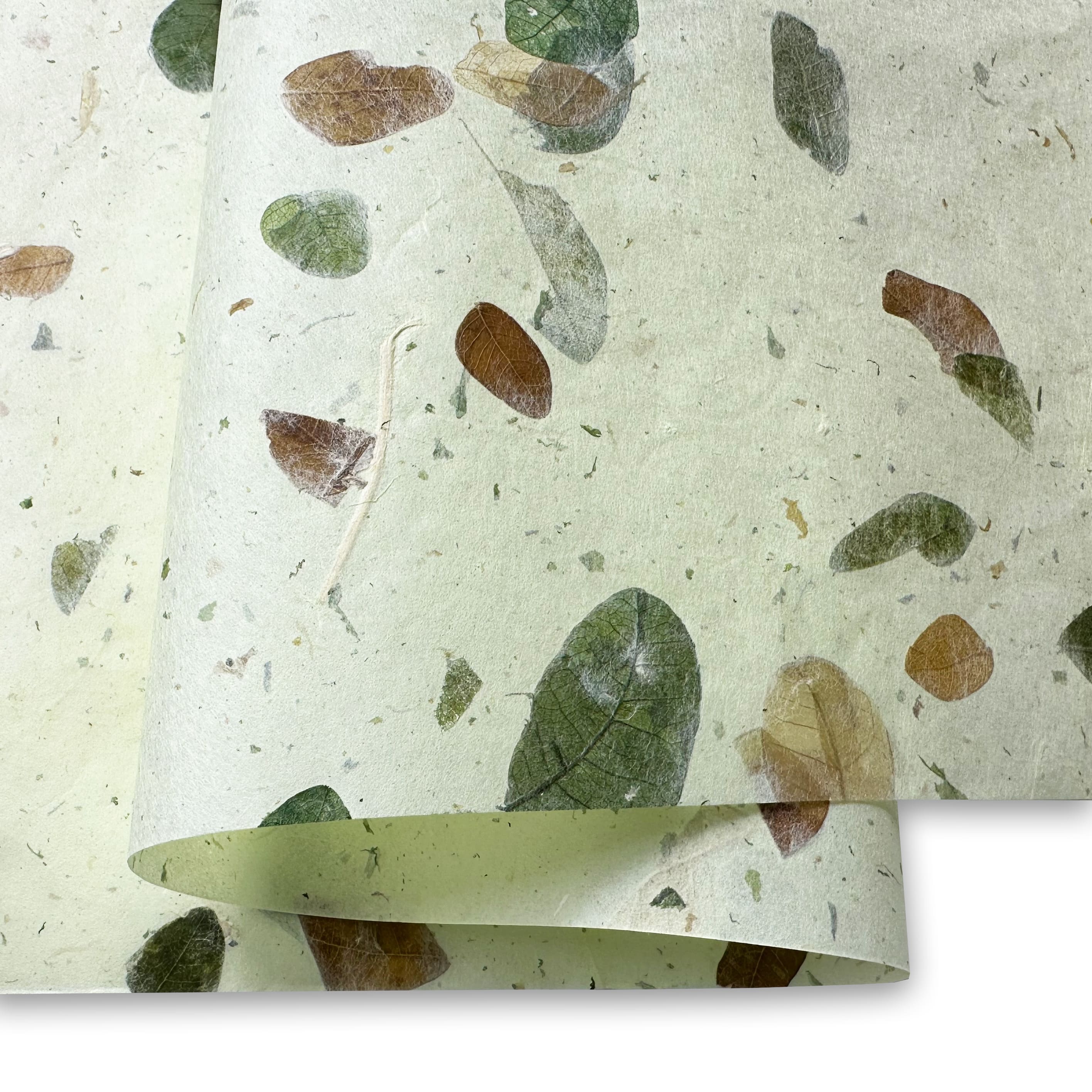Thai Paper | Rain Tree |  4 COLOUR OPTIONS AVAILABLE - Kami Paper