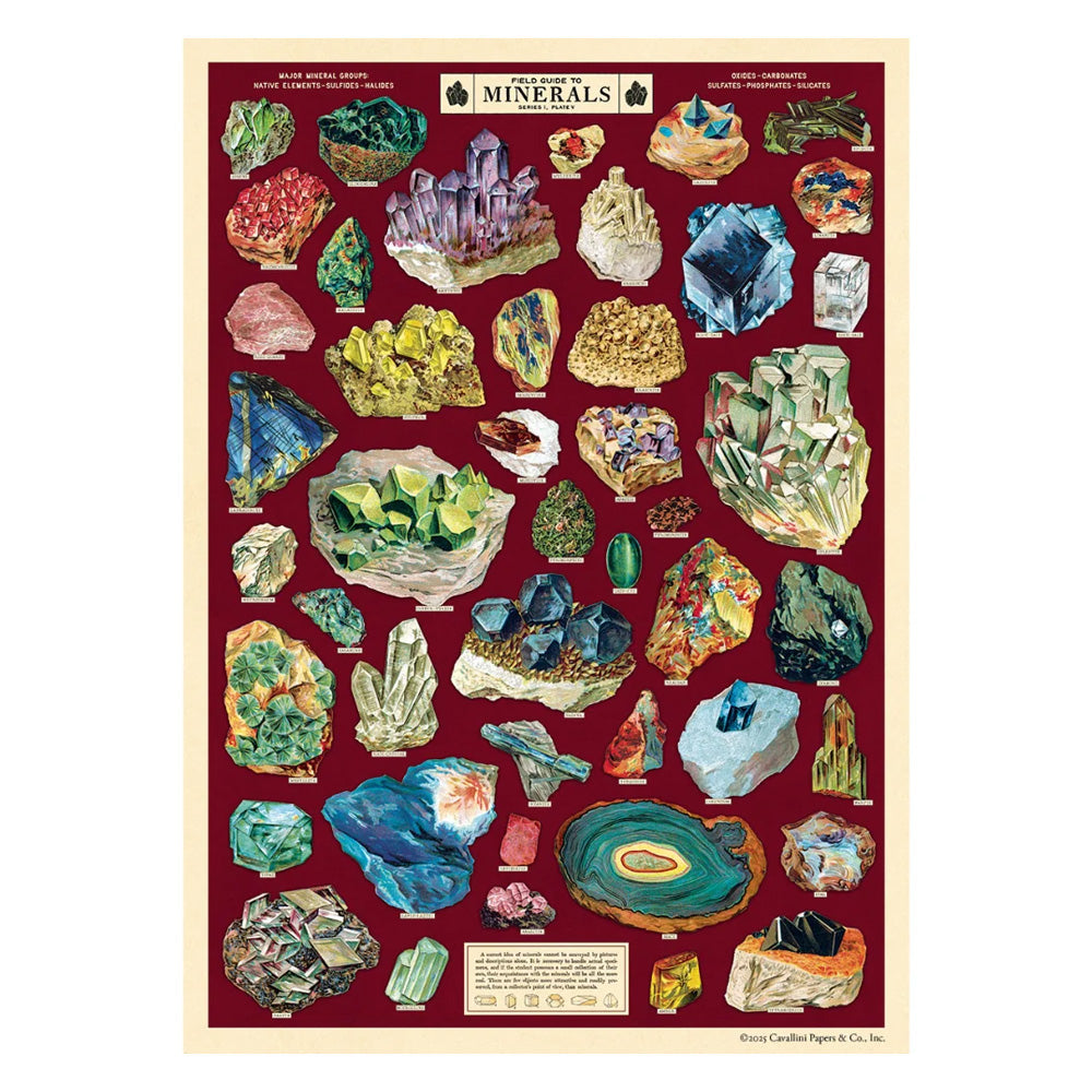Vintage Poster | Field Guide To Minerals | Cavallini & Co.