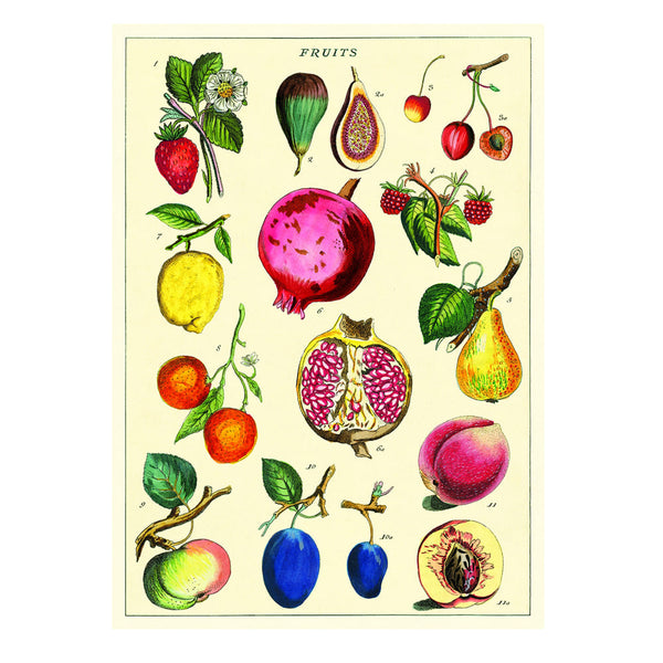 Vintage Poster | Fruit 2 | Cavallini & Co.