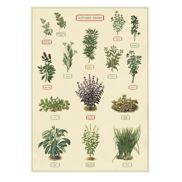 Vintage Poster | Kitchen Herbs | Cavallini & Co.
