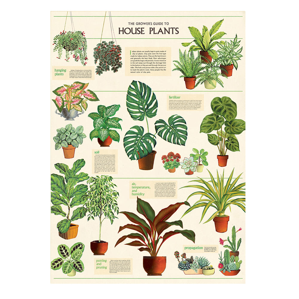 Vintage Poster | House Plant | Cavallini & Co.