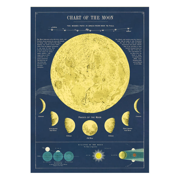 Vintage Poster | Moon Chart | Cavallini & Co.