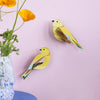 3D Cardboard Model Kit | Wall Art | B6 | Garden Birds | Citrinella Pair | Studio Roof