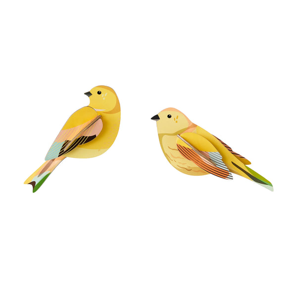 3D Cardboard Model Kit | Wall Art | B6 | Garden Birds | Citrinella Pair | Studio Roof