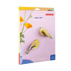 3D Cardboard Model Kit | Wall Art | B6 | Garden Birds | Citrinella Pair | Studio Roof