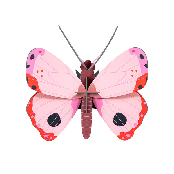 3D Cardboard Model Kit | Wall Art | B7 | Rosora Butterfly | Studio Roof