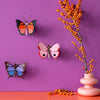 3D Cardboard Model Kit | Wall Art | B7 | Rosora Butterfly | Studio Roof