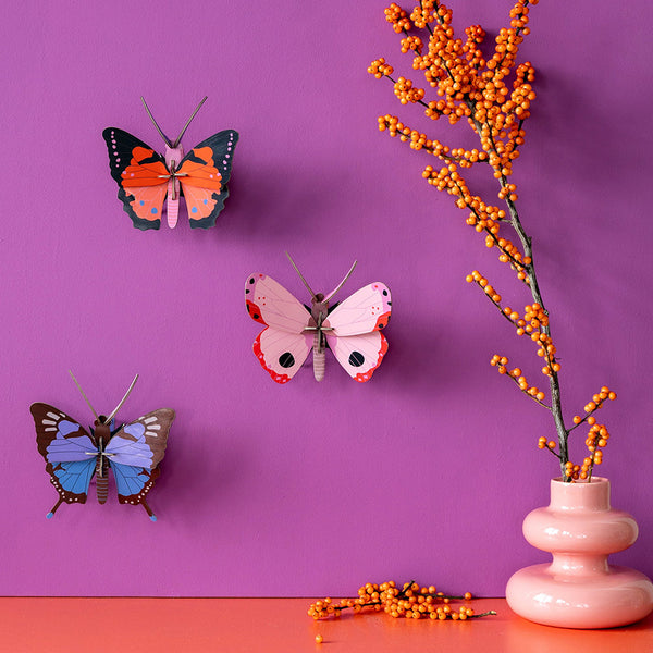 3D Cardboard Model Kit | Wall Art | B7 | Rosora Butterfly | Studio Roof