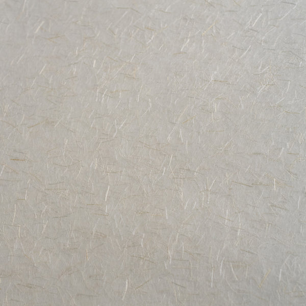 Awagami Ginwashi paper white handmade