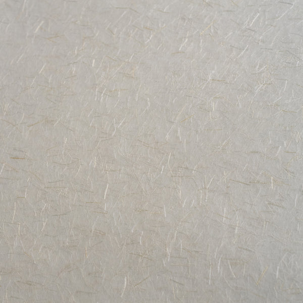 Awagami Ginwashi paper white handmade