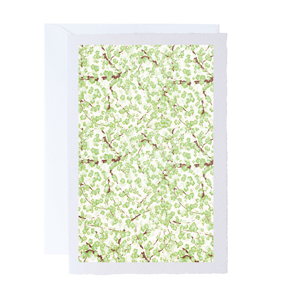 All Occasion Greeting Card | Ivory | A5 | Floral and Botanical Designs | Kami Paper | 15 DESIGNS AVAILABLE