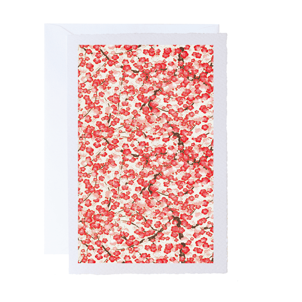 All Occasion Greeting Card | Ivory | A5 | Floral and Botanical Designs | Kami Paper | 15 DESIGNS AVAILABLE